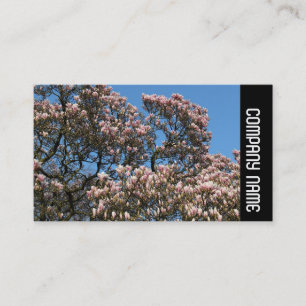 Side Band -  Magnolia Tree in Bloom Business Card