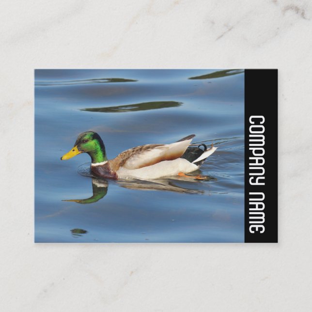 Side Band - Mallard Duck Business Card (Front)