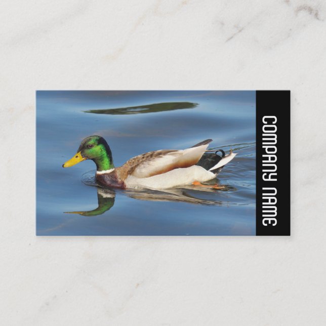 Side Band -  Mallard Duck Business Card (Front)