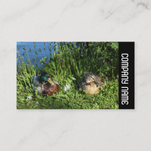 Side Band -  Mr and Mrs Mallard Business Card