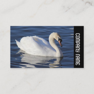 Side Band -  Mute Swan Business Card