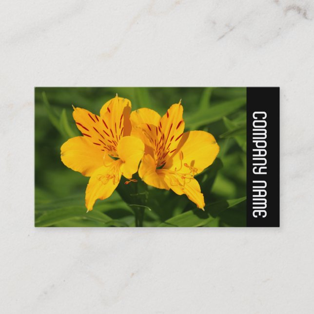 Side Band - Peruvian Lilies Business Card (Front)