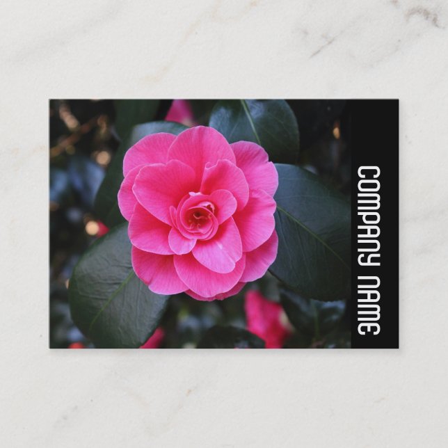 Side Band - Pink Camellia Business Card (Front)
