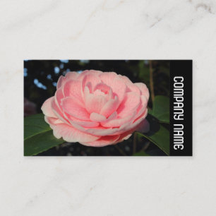 Side Band - Pink Camellia Business Card