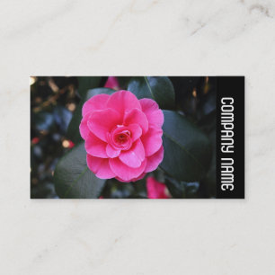 Side Band - Pink Camellia Business Card