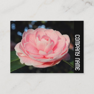 Side Band - Pink Camellia Business Card