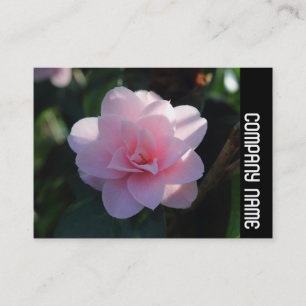 Side Band - Pink Camellia Business Card