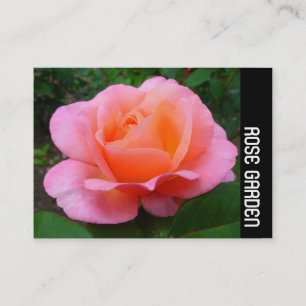 Side Band - Pink Rose Business Card