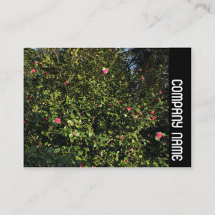 Side Band - Red Camellia Bush Business Card