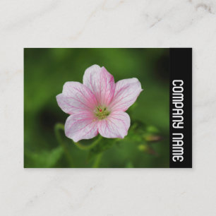 Side Band - Seaside Business Card