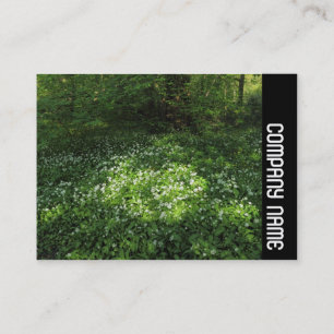 Side Band - Spot of Garlic Business Card