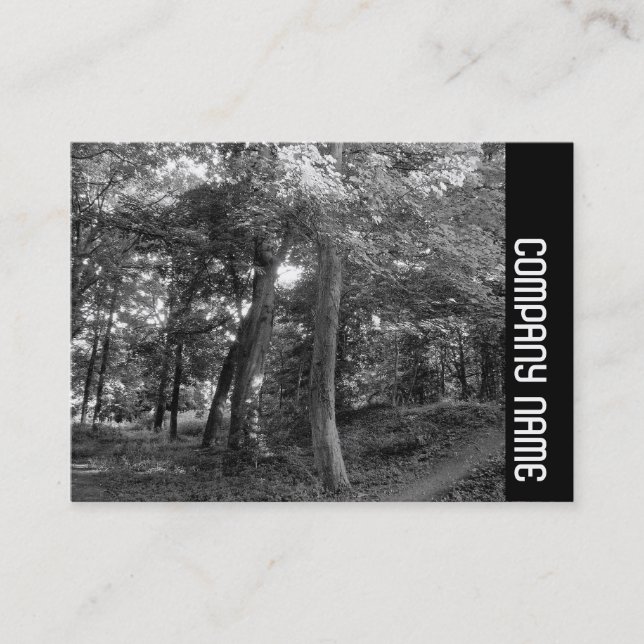 Side Band - Summer in the Woods Business Card (Front)