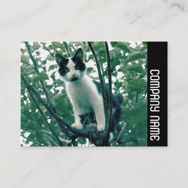 Side Band - Superfluity of Naughtiness Business Card (Front)