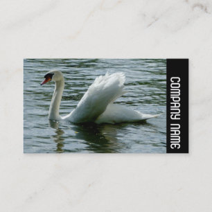 Side Band - Swan Business Card