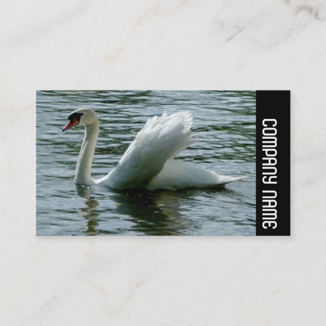 Side Band - Swan Business Card (Front)