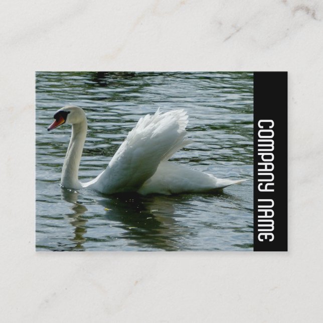Side Band - Swan Business Card (Front)