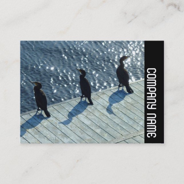 Side Band - Three Cormorants Business Card (Front)
