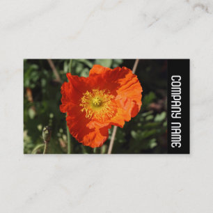 Side Band - Welsh Poppy (Orange) Business Card