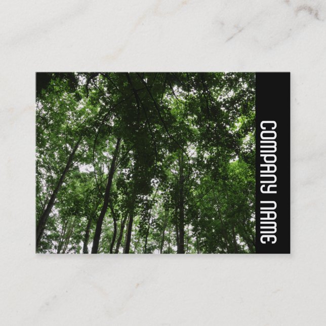 Side Band - Woodland Canopy 01 Business Card (Front)