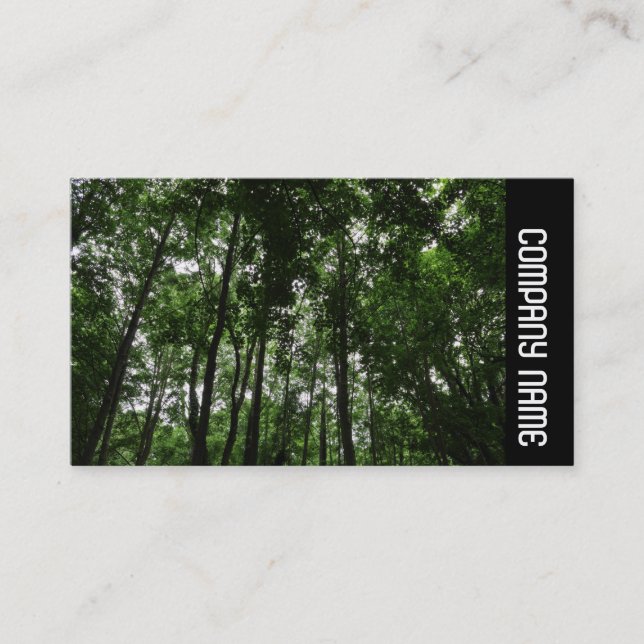 Side Band -  Woodland Canopy 02 Business Card (Front)