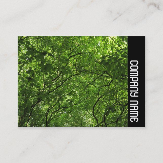 Side Band - Woodland Canopy Business Card (Front)