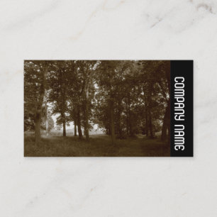 Side Band -  Woods, Bute Park Cardiff Business Card