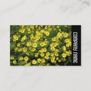 Side Band - Yellow Daisies Business Card