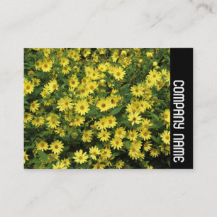 Side Band - Yellow Daisies Business Card