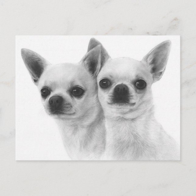 Side by Side - Exclusive Hand Painted Chihuahuas Postcard (Front)