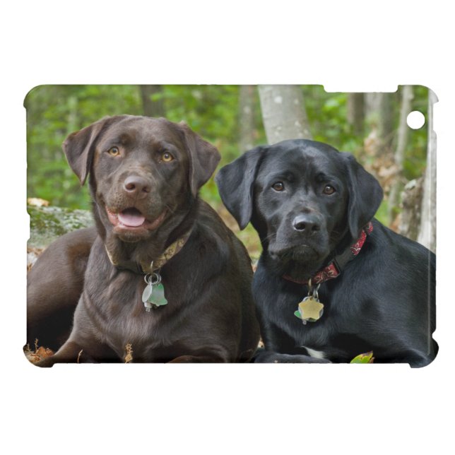 Side By Side Labrador Retriever Dogs Outside iPad Mini Case (Back Horizontal)
