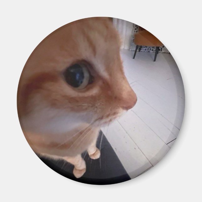 Side eye cat meme magnet (Front)