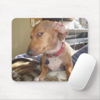 Side Eye Dog Meme Mouse Pad