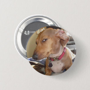 Side Eye Dog Meme Pin Button