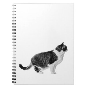 Side Notes, Gentle Muse Notebook