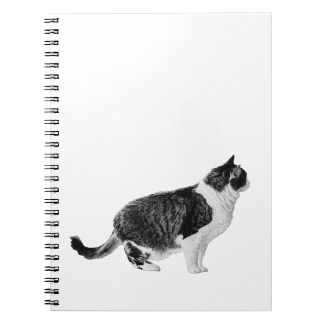 Side Notes, Gentle Muse Notebook (Front)