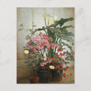 Side of a Greenhouse by George Cochran Lambdin Postcard