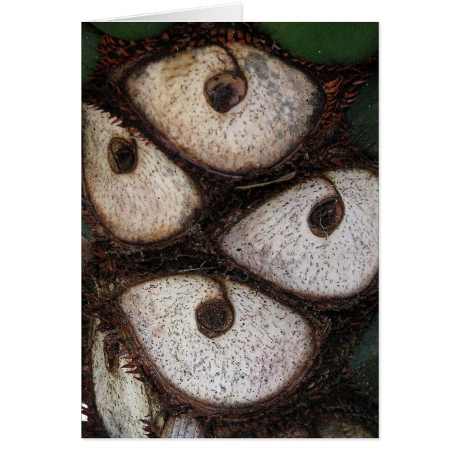 Side of Palm (Front)