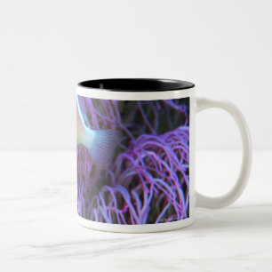 Side view of a pink anemone fish, Okinawa, Japan Two-Tone Coffee Mug