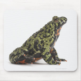 Side View of an Oriental Fire Bellied Toad Mouse Pad