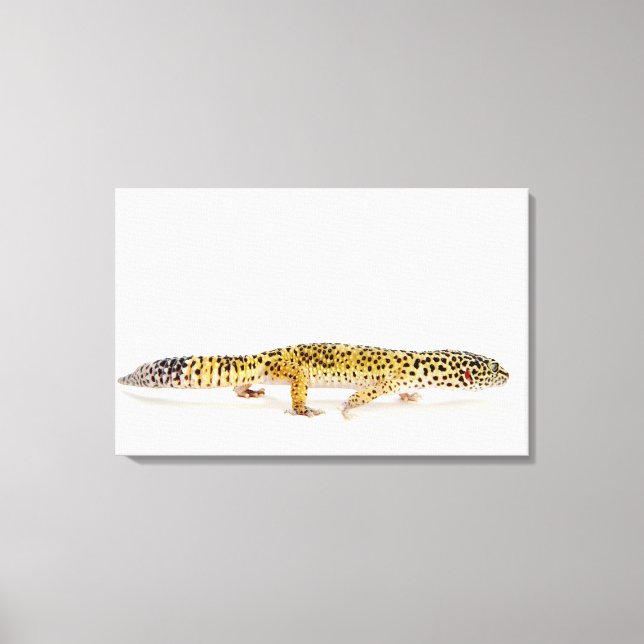 Side view of leopard gecko lizard canvas print (Front)