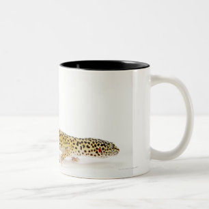 Side view of leopard gecko lizard Two-Tone coffee mug