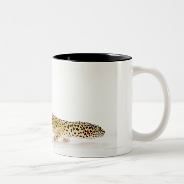 Side view of leopard gecko lizard Two-Tone coffee mug (Right)