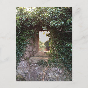 Side Window at West Kirk Culross Postcard