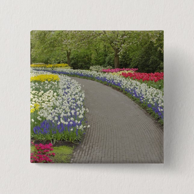 Sidewalk pathway through tulips and daffodils, 2 15 cm square badge (Front)