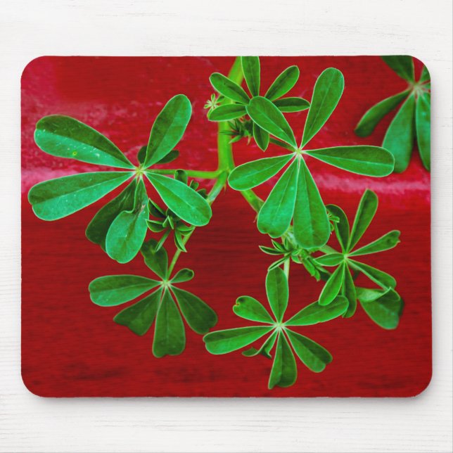 Sidewalk Visitors Mouse Pad (Front)