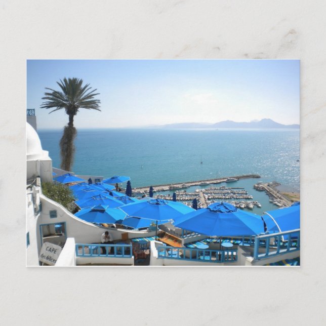 Sidi Bou Said Tunisia Postcard (Front)