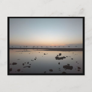 Sidi Kaouki (Morocco) Postcard