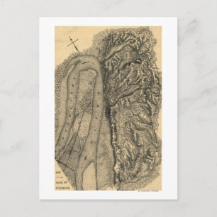 Siege of Vicksburg - Civil War Panoramic Map Postcard