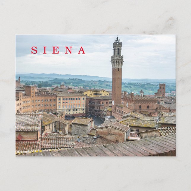 Siena Piazza del Campo view postcard (Front)