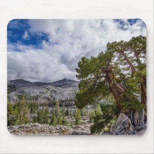 Sierra Juniper and Evergreen Trees Mouse Pad